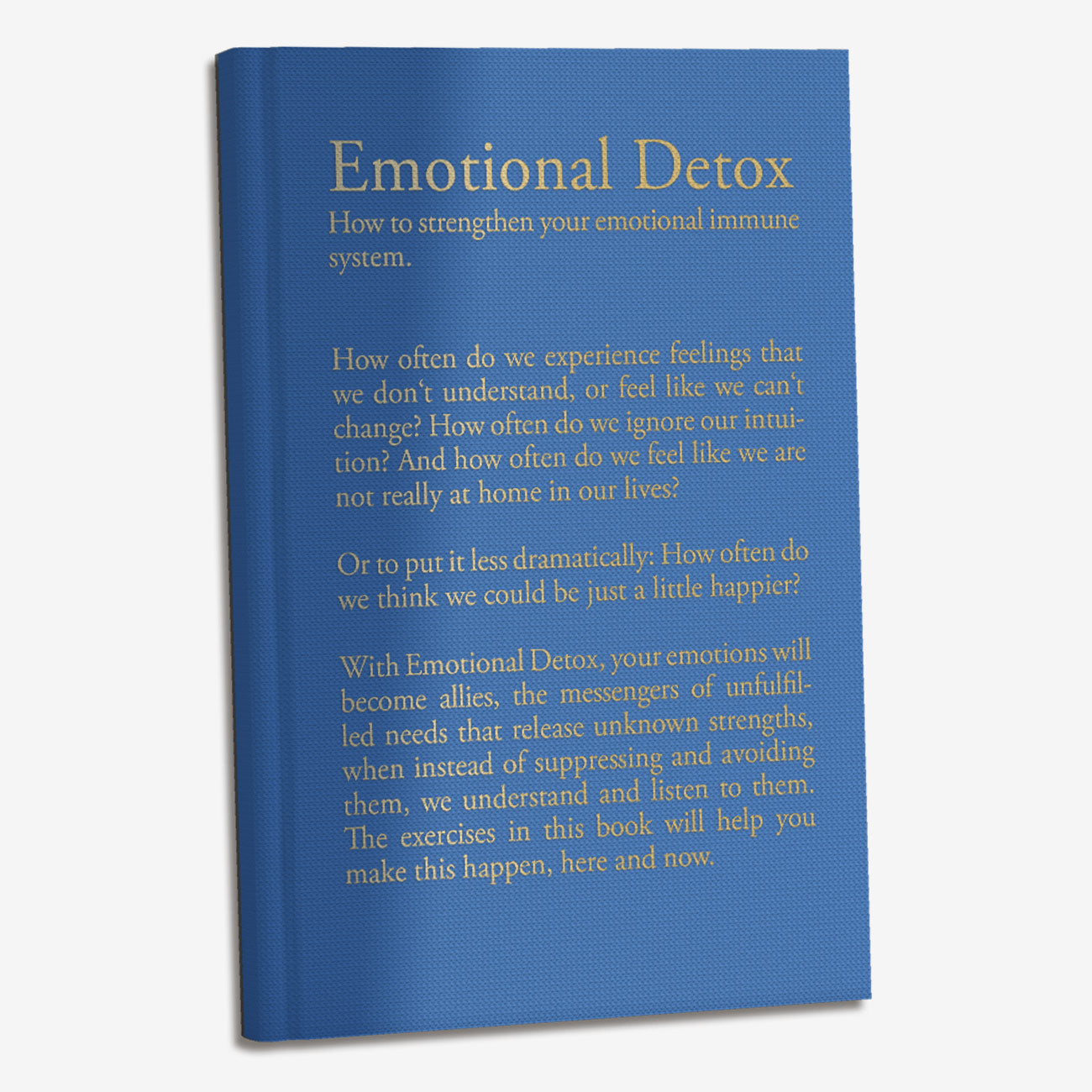 Laura Ritthaler Emotional Detox Englisch  